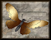 wall butterfly
